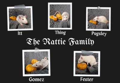 Fester, Gomez, Itt, Thing and Pugsley