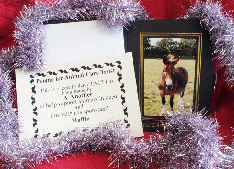 PACT - Sponsors an animal,cat,dog,horse,goat,pig, Sponsor an animal gift